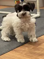 processed/6b5c6ec1-c199-40ff-b990-bcca5b085c12/listing/b27acb28-702b-483f-a549-e0125e266ce2/69685e50-3191-4e47-8cc8-e99628dfdb2c