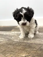 processed/6b5c6ec1-c199-40ff-b990-bcca5b085c12/listing/b27acb28-702b-483f-a549-e0125e266ce2/785af422-bdd5-486d-9d1c-5bfd307943e3