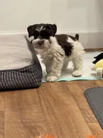 processed/6b5c6ec1-c199-40ff-b990-bcca5b085c12/listing/b27acb28-702b-483f-a549-e0125e266ce2/835ec5c2-42b9-47c8-9340-e6537c3ff8f4