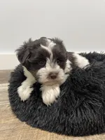 processed/6b5c6ec1-c199-40ff-b990-bcca5b085c12/listing/b27acb28-702b-483f-a549-e0125e266ce2/898b1ce4-4133-4f5f-befd-75e4dc8941b7