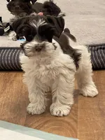 processed/6b5c6ec1-c199-40ff-b990-bcca5b085c12/listing/b27acb28-702b-483f-a549-e0125e266ce2/e535e647-9a98-4d52-b018-11ec6c0700ae