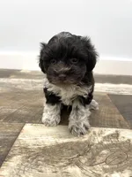 processed/6b5c6ec1-c199-40ff-b990-bcca5b085c12/listing/f39563bf-8d4c-44b3-820a-9b44f7592c39/0686fee1-8dc4-4714-9051-1bd0ded66fb3