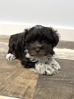 processed/6b5c6ec1-c199-40ff-b990-bcca5b085c12/listing/f39563bf-8d4c-44b3-820a-9b44f7592c39/7b9928d2-6f71-456d-9226-6524a3d86b19