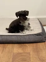 processed/6b5c6ec1-c199-40ff-b990-bcca5b085c12/listing/f39563bf-8d4c-44b3-820a-9b44f7592c39/a46da8f8-9135-4e69-bc78-ed7e9e29e67f