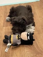 processed/6b5c6ec1-c199-40ff-b990-bcca5b085c12/listing/f39563bf-8d4c-44b3-820a-9b44f7592c39/b04ebf76-ac21-4c33-8f30-d91154b8314b