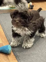 processed/6b5c6ec1-c199-40ff-b990-bcca5b085c12/listing/f39563bf-8d4c-44b3-820a-9b44f7592c39/ea93f7c9-5caf-4d6d-8b51-3d361bc9e680