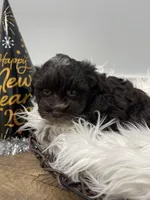 processed/6b5c6ec1-c199-40ff-b990-bcca5b085c12/listing/f39563bf-8d4c-44b3-820a-9b44f7592c39/f1b0530b-4ce6-48f5-bdd5-4e9486f1fc4a