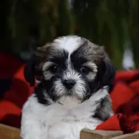 processed/6b5d44b7-9e5c-4f2f-adb9-df45114ed431/facility/124758b4-f538-407c-8a9a-72dbddc22249