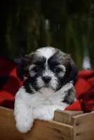 processed/6b5d44b7-9e5c-4f2f-adb9-df45114ed431/facility/124758b4-f538-407c-8a9a-72dbddc22249