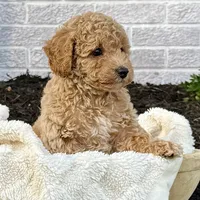 processed/6b5d44b7-9e5c-4f2f-adb9-df45114ed431/facility/52055d1c-d486-4443-8e2e-fa50ac781e39