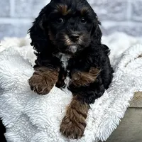 processed/6b5d44b7-9e5c-4f2f-adb9-df45114ed431/facility/5d7f2c53-7487-498e-9aa3-f1c781d8c74a