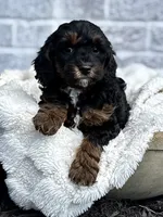 processed/6b5d44b7-9e5c-4f2f-adb9-df45114ed431/facility/5d7f2c53-7487-498e-9aa3-f1c781d8c74a