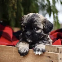 processed/6b5d44b7-9e5c-4f2f-adb9-df45114ed431/facility/602f7456-4e99-477e-9dda-a3486da17ce7