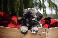 processed/6b5d44b7-9e5c-4f2f-adb9-df45114ed431/facility/602f7456-4e99-477e-9dda-a3486da17ce7