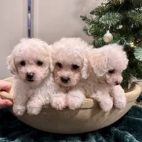 processed/6b5d44b7-9e5c-4f2f-adb9-df45114ed431/facility/7921359c-6b8b-4293-8687-a16fb7ff83ca