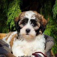 processed/6b5d44b7-9e5c-4f2f-adb9-df45114ed431/facility/9585300f-9796-488b-8fe2-c7f629a094f6