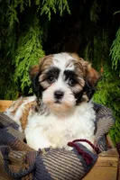 processed/6b5d44b7-9e5c-4f2f-adb9-df45114ed431/facility/9585300f-9796-488b-8fe2-c7f629a094f6