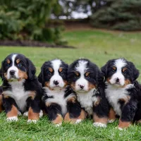 processed/6b5d44b7-9e5c-4f2f-adb9-df45114ed431/facility/b7f65dc5-a910-4c2d-8702-6f3e51666204