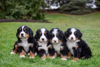 processed/6b5d44b7-9e5c-4f2f-adb9-df45114ed431/facility/b7f65dc5-a910-4c2d-8702-6f3e51666204