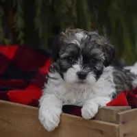 processed/6b5d44b7-9e5c-4f2f-adb9-df45114ed431/facility/cf720ce3-b26f-44e1-ade4-b91daad1e2de