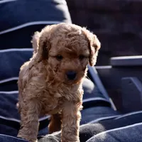 processed/6b5d44b7-9e5c-4f2f-adb9-df45114ed431/facility/d558eef7-79a0-41a9-abee-7d22652d621f