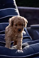 processed/6b5d44b7-9e5c-4f2f-adb9-df45114ed431/facility/d558eef7-79a0-41a9-abee-7d22652d621f