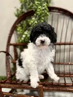 processed/6b5d44b7-9e5c-4f2f-adb9-df45114ed431/listing/57ea4775-b232-432d-820a-62fb66ef65b1/6aea5e1f-a3bf-4c06-9579-0ff9c345c18b