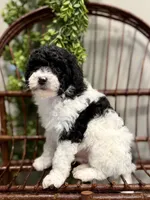 processed/6b5d44b7-9e5c-4f2f-adb9-df45114ed431/listing/57ea4775-b232-432d-820a-62fb66ef65b1/c708f1b8-4964-43f0-9124-6a1800014c1f