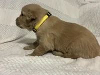 processed/6b6018ac-7057-4616-89ac-d6d083a111c4/listing/60e5495c-dd05-400b-bf00-ff303c56b84e/02efa7bc-1728-485d-8b7c-1588914a1423