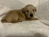 processed/6b6018ac-7057-4616-89ac-d6d083a111c4/listing/60e5495c-dd05-400b-bf00-ff303c56b84e/1be2df67-4a26-4b31-808d-07ce0351e9e1