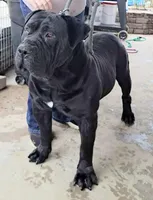 processed/6b78048d-940a-4182-8ad7-904d00acd6ba/listing/0f156710-bb07-4d7d-bb0b-cc3e4b926de5/a53868eb-f0cf-4215-b15f-70edd222cc5f