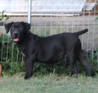 processed/6b78048d-940a-4182-8ad7-904d00acd6ba/listing/0f156710-bb07-4d7d-bb0b-cc3e4b926de5/c8930f44-f8b9-4eac-9e98-202f84decb17