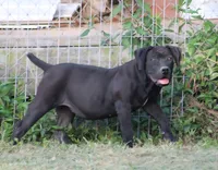 processed/6b78048d-940a-4182-8ad7-904d00acd6ba/listing/0f156710-bb07-4d7d-bb0b-cc3e4b926de5/ce2cf310-bf7b-41bc-9199-6a86e57c4fc6