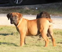 processed/6b78048d-940a-4182-8ad7-904d00acd6ba/listing/9073a7cd-d3d6-41e2-b2f3-45128906fd20/c632e164-d6cd-42fc-9ab0-29b413012a55