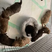 processed/6b7efa50-81cb-483b-9563-2cff25e84d90/facility/9c4cd44b-9ce1-4423-948f-cfedbe4ba832