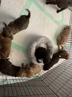 processed/6b7efa50-81cb-483b-9563-2cff25e84d90/facility/9c4cd44b-9ce1-4423-948f-cfedbe4ba832