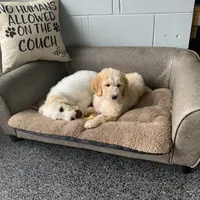 processed/6b7efa50-81cb-483b-9563-2cff25e84d90/facility/a1dfba87-c44e-4450-b6df-c72021510150