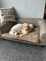 processed/6b7efa50-81cb-483b-9563-2cff25e84d90/facility/a1dfba87-c44e-4450-b6df-c72021510150