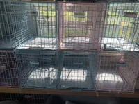 processed/6b7efa50-81cb-483b-9563-2cff25e84d90/facility/f8316d4c-f2b5-43f3-bac4-00e9f287bee7