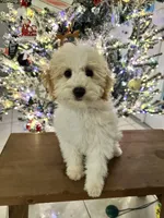 processed/6b7efa50-81cb-483b-9563-2cff25e84d90/listing/41132159-e466-4e08-951b-45bfd00f2008/16b211c0-0ec3-4c8e-9026-99f0deb37159