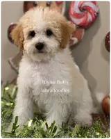 processed/6b7efa50-81cb-483b-9563-2cff25e84d90/listing/41132159-e466-4e08-951b-45bfd00f2008/e16cebe2-df18-4e80-82ae-1836fd49baf2