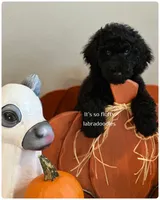 processed/6b7efa50-81cb-483b-9563-2cff25e84d90/listing/664b7f82-9769-4d53-bb37-48d1d7486f09/c43c0ec1-ff40-409d-a04a-f1b29bfd3a93