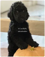 processed/6b7efa50-81cb-483b-9563-2cff25e84d90/listing/664b7f82-9769-4d53-bb37-48d1d7486f09/f1c3cdd6-20e9-4dc2-b147-346a71c61483