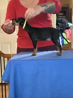 processed/6b817192-587e-4b63-969e-5f67f1f04e5f/listing/3d5a3eaa-61e3-4440-9a7e-935f656e6361/6022fd91-77c9-45ef-9583-18cfe7f40fdd