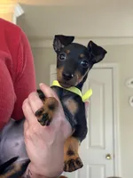 processed/6b817192-587e-4b63-969e-5f67f1f04e5f/listing/3d5a3eaa-61e3-4440-9a7e-935f656e6361/7db8d835-7a79-4199-a102-3e3f1045269d