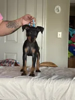 processed/6b817192-587e-4b63-969e-5f67f1f04e5f/listing/442e0569-a791-4b53-9ba8-524b7cd965b3/31be725f-1072-496e-86d5-7e61736f0f52