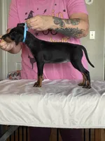 processed/6b817192-587e-4b63-969e-5f67f1f04e5f/listing/442e0569-a791-4b53-9ba8-524b7cd965b3/47a99e17-a68a-4fba-b731-a37f170731b2