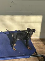 processed/6b817192-587e-4b63-969e-5f67f1f04e5f/listing/78c12b45-d9af-493f-929b-13597f437822/6b99d7a5-a2cb-4287-8f1c-9f05cd22f567