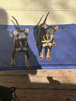 processed/6b817192-587e-4b63-969e-5f67f1f04e5f/listing/f0e8e86a-7de0-4d5c-aead-5a84ef8019ea/57de0829-76ff-4448-b67d-e2e02c65693c