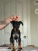 processed/6b817192-587e-4b63-969e-5f67f1f04e5f/listing/fb84ca61-948b-4fc8-95f5-4d978a0a6696/ceb758c6-40e5-4257-be9b-afe96947dddc